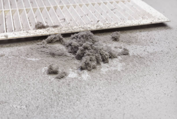 Best Affordable HVAC Duct Cleaning  in Cairo, GA